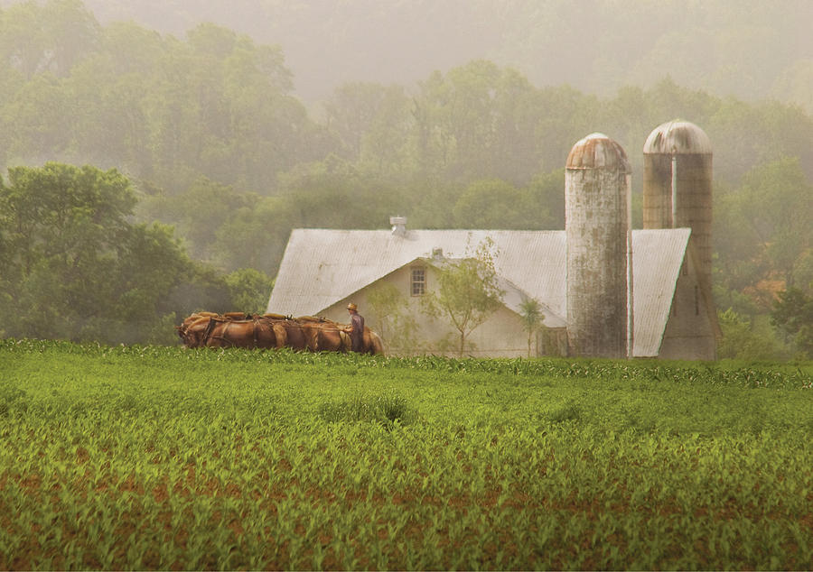 an Amish farm